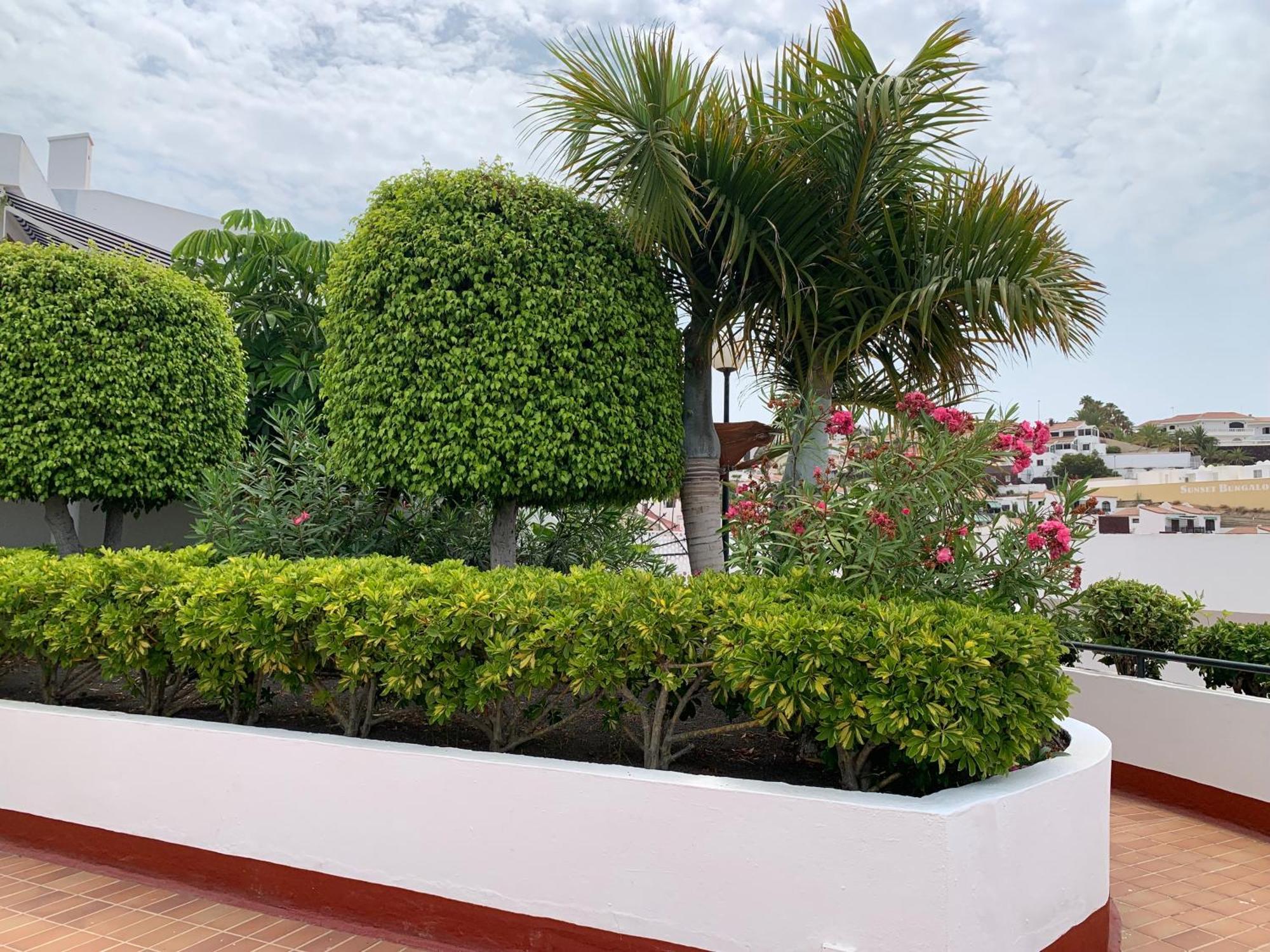 Ocean Breeze And Seaview Resort Costa Adeje  Extérieur photo